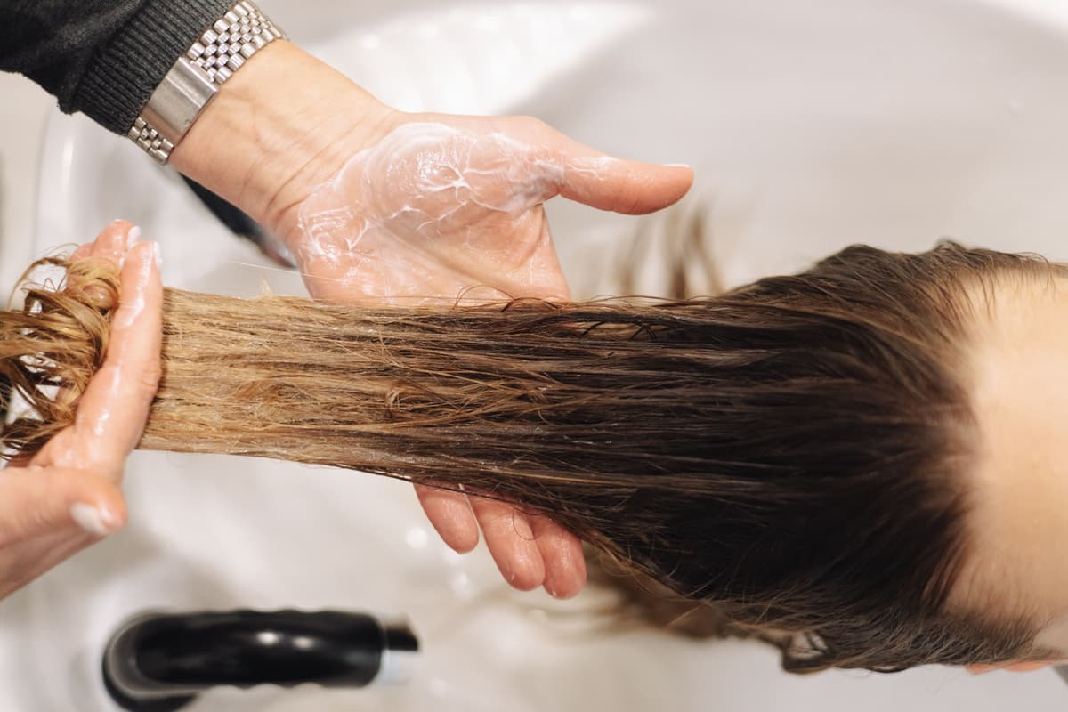 Haircut Shampoo